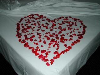 Color Style, Design & Gourmet Hotel 4*