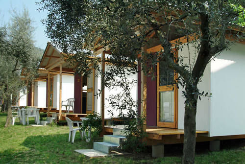 Serenella Bardolino