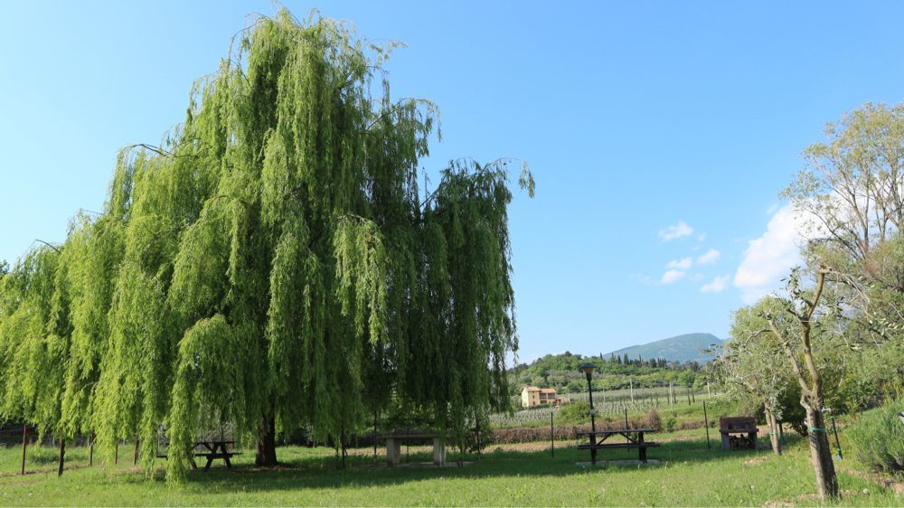Apartment Ca' Castellani *