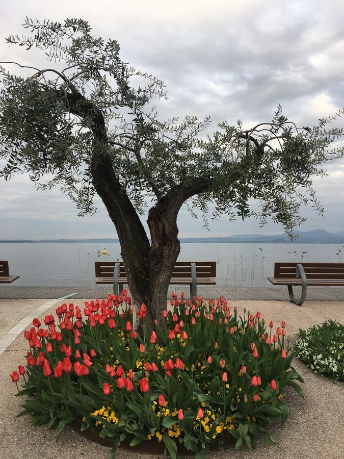 Caba D'annunzio Apartament Bardolino