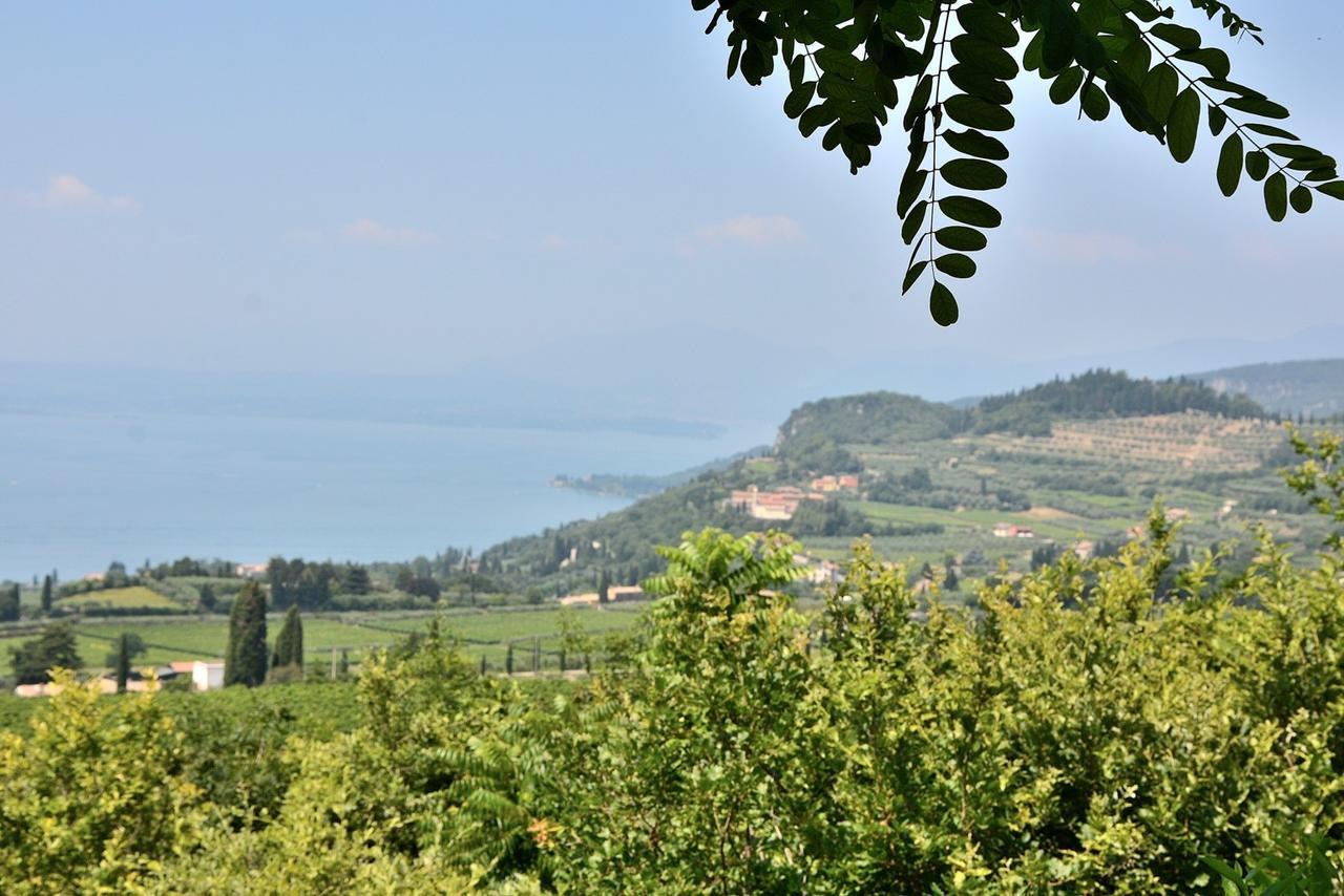 Appartamento Ai Vigneti *