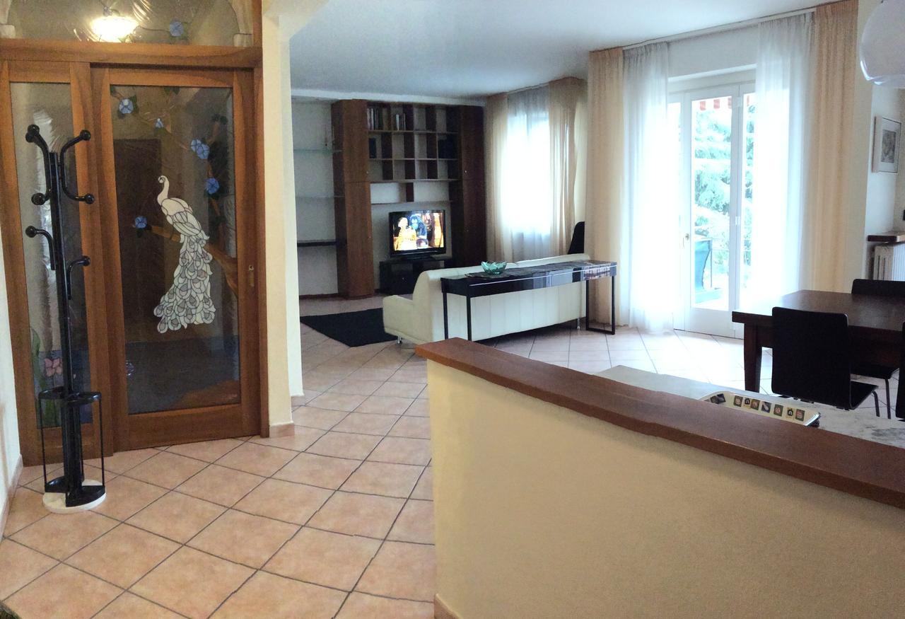 Francy Panorama *