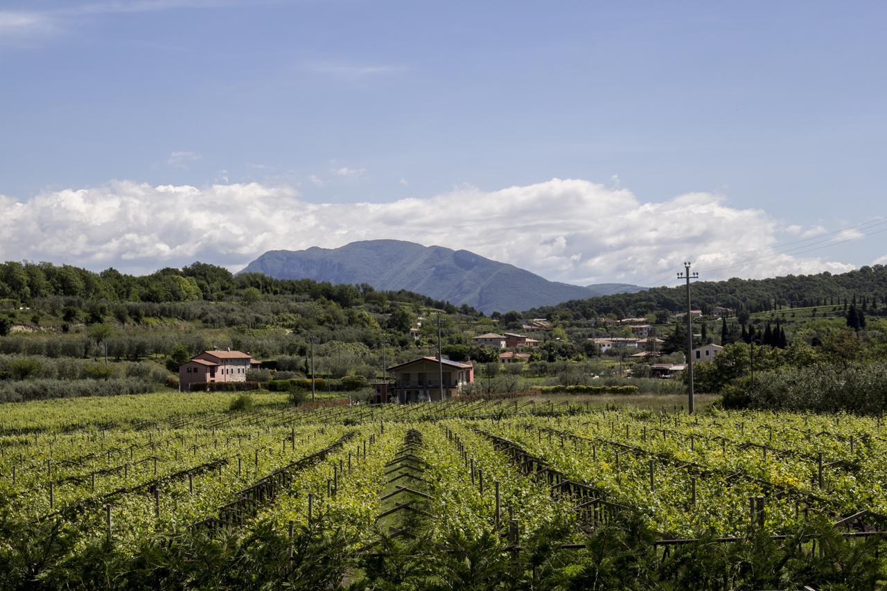 Agriturismo La Rocca * Bardolino