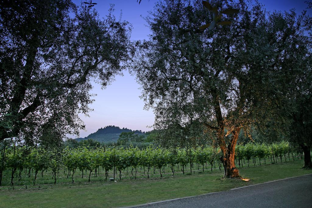La Zerla Frühstückspension Bardolino