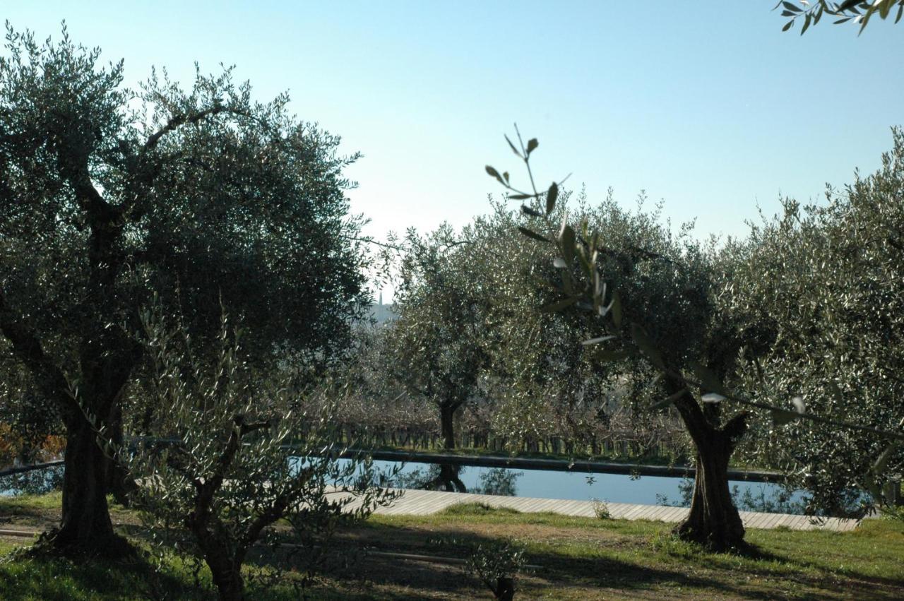 La Luna - Dependance Apartment Bardolino