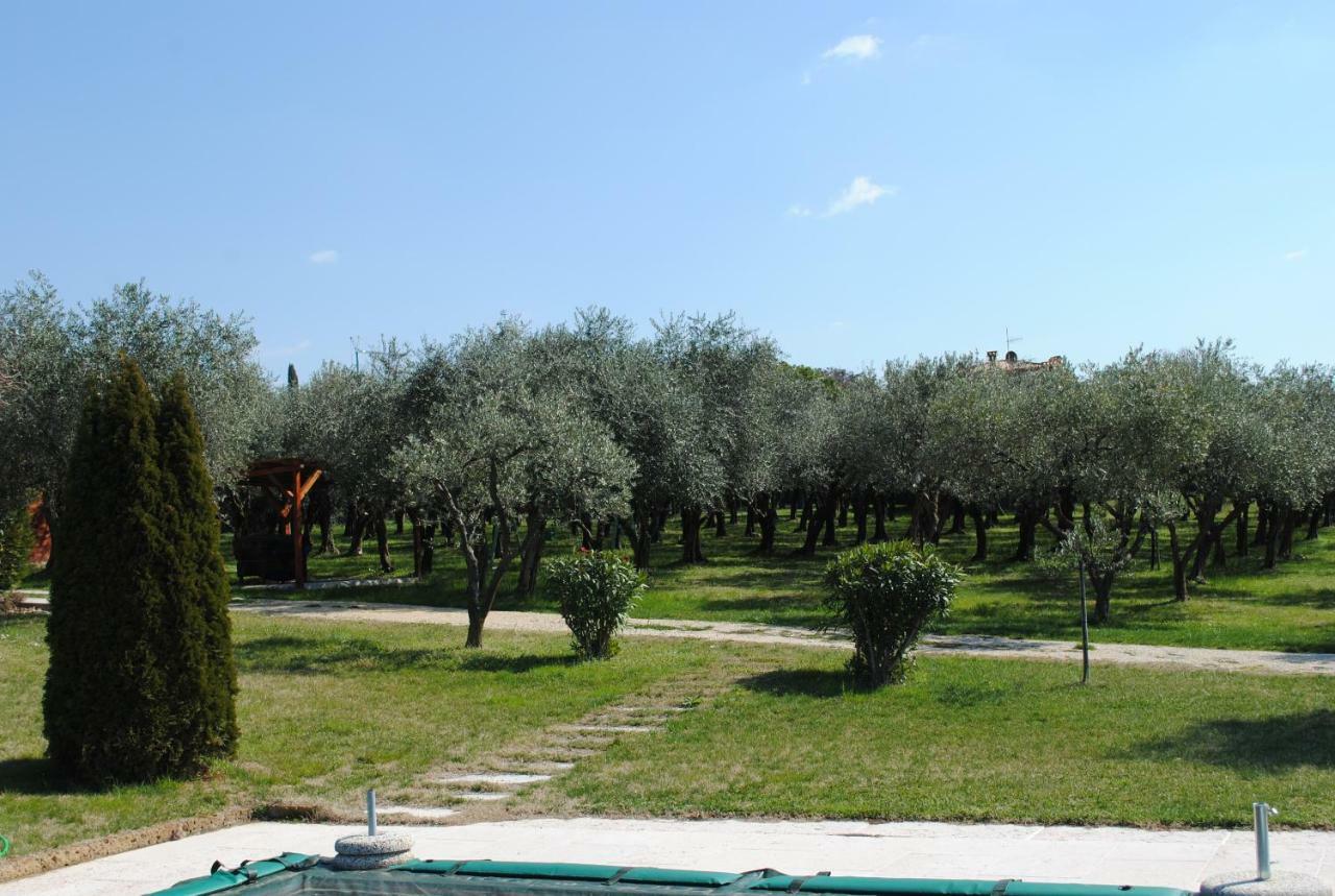 Melograno D'oro Aparthotel *