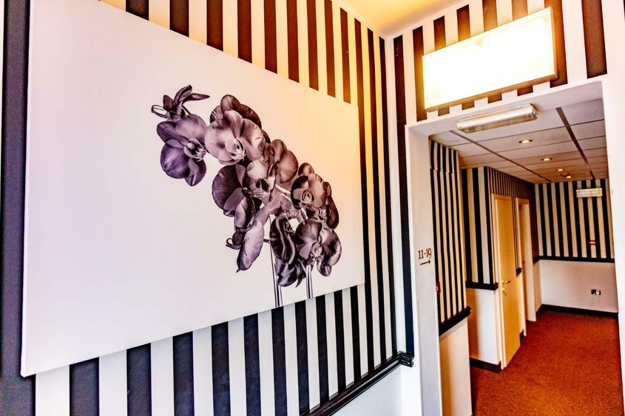 Hotel Art Ventaglio 3*