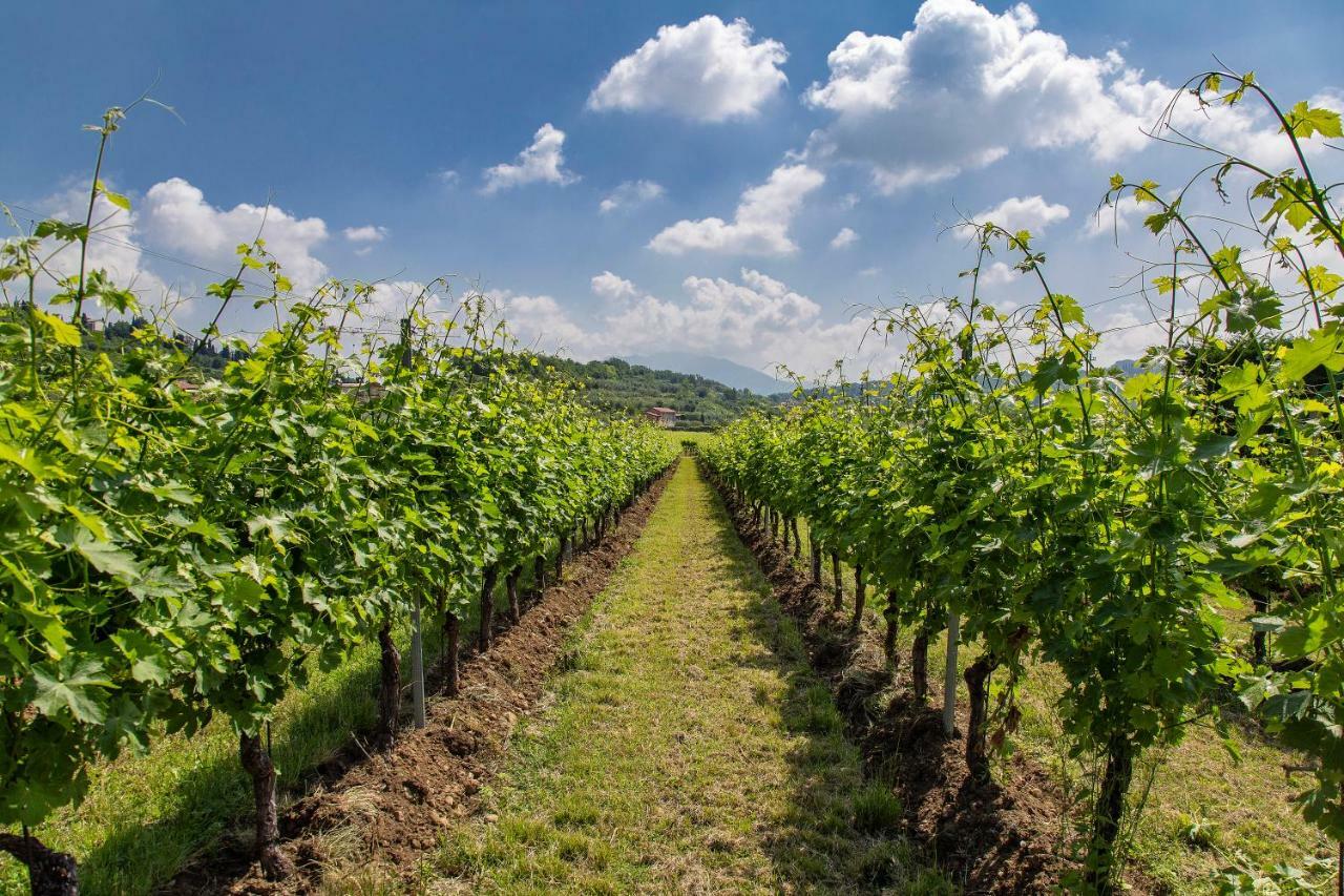 Agriturismo La Rocca * Bardolino