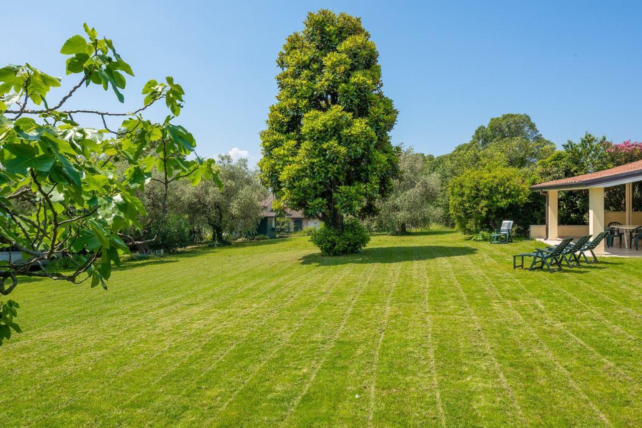 Ca Lina Holiday home Bardolino