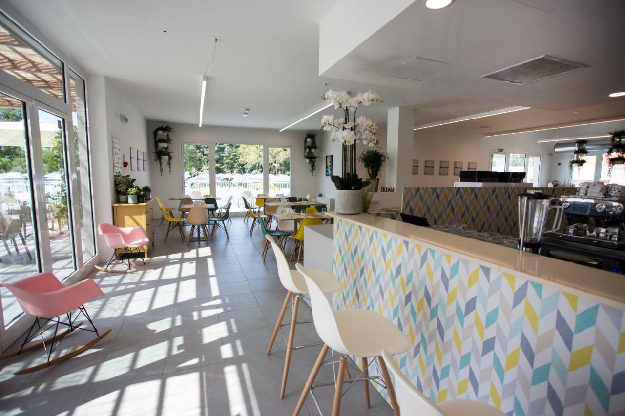 Complex Sisan Family Bardolino