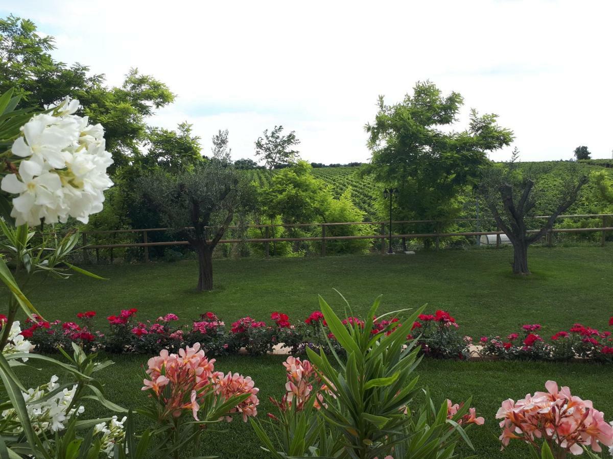 Poggio * Bardolino