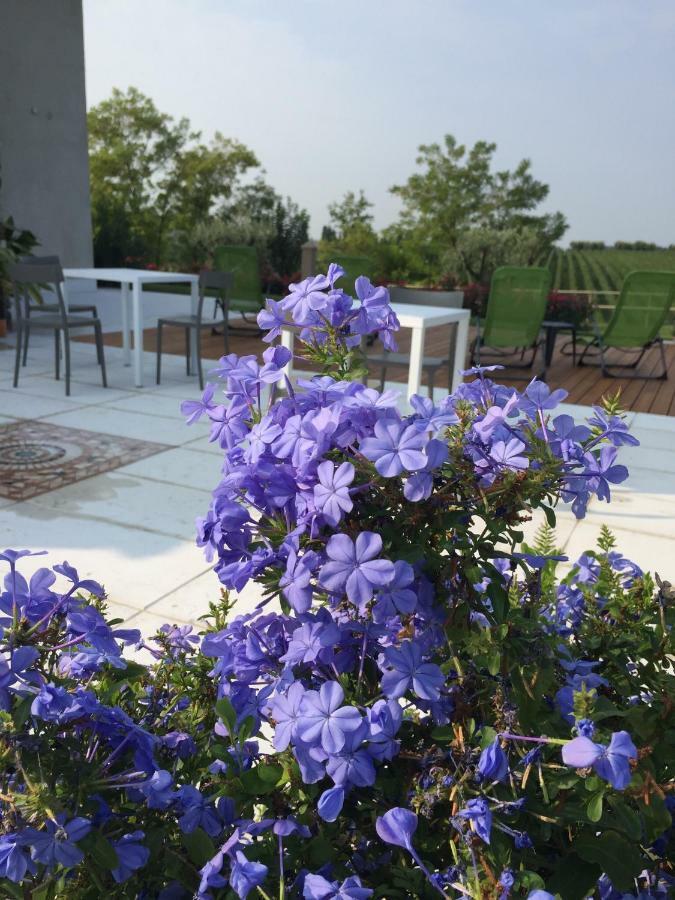 Gasthof Poggio Bardolino