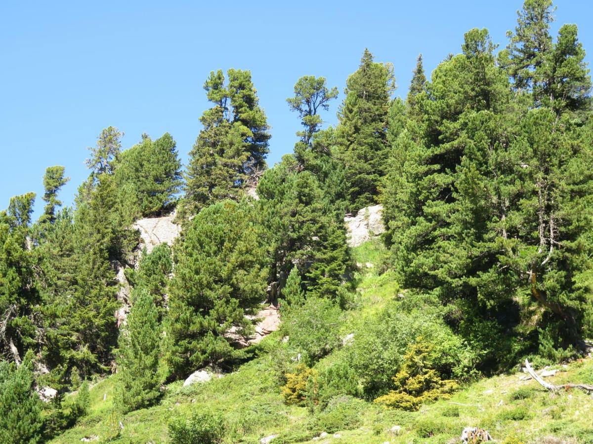 Via Gritti