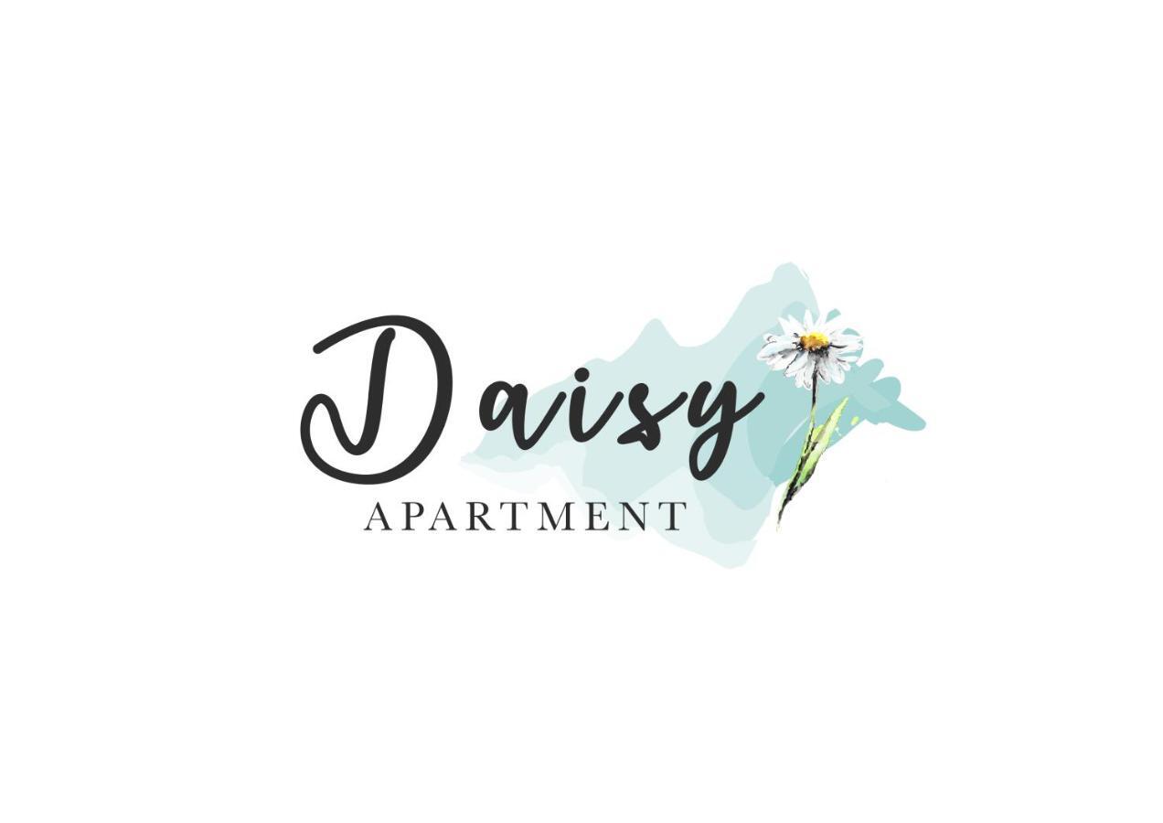 Daisy * Bardolino