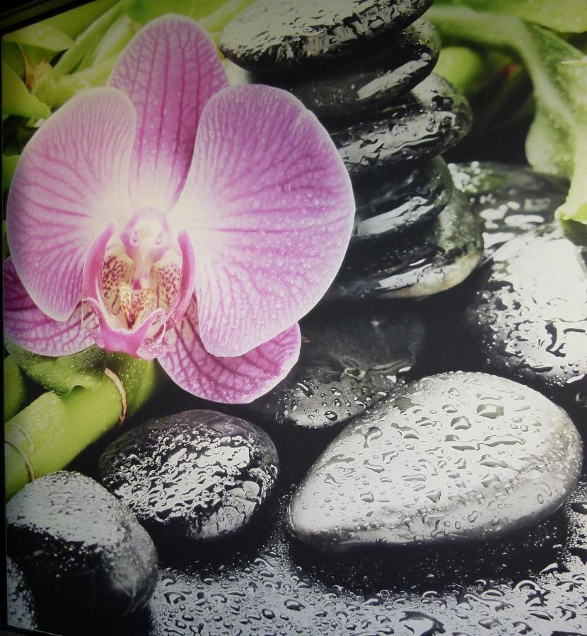 Boutique Bel Sito Wellness&private Hotel Bardolino