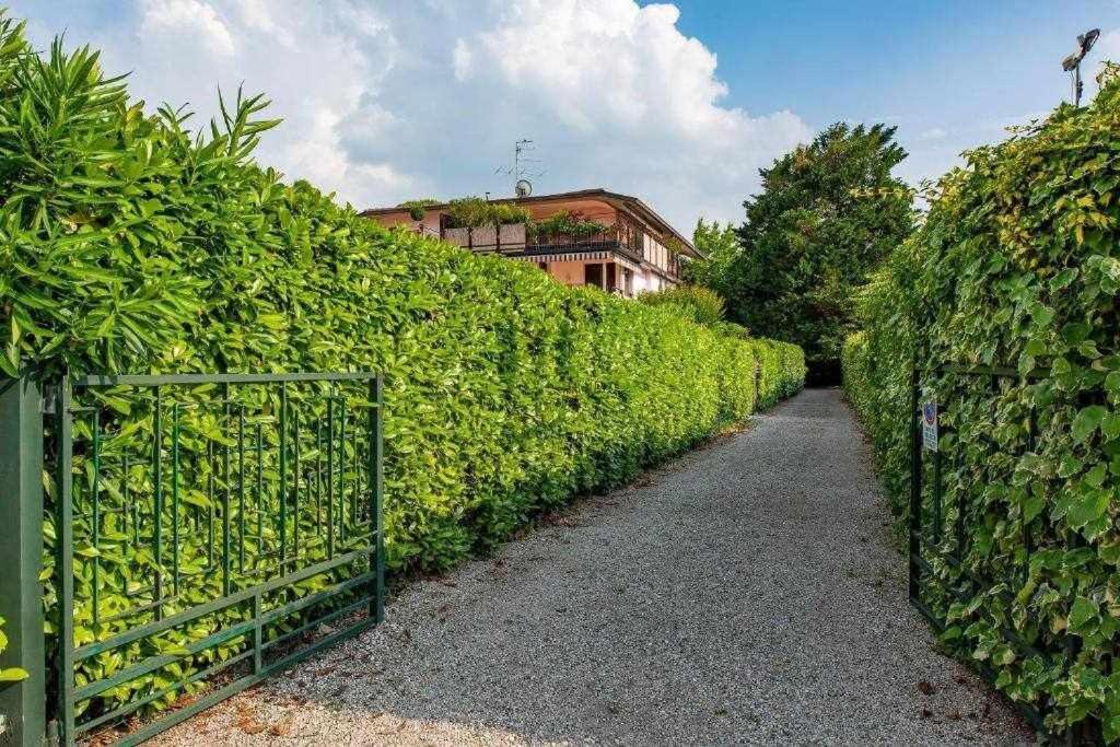 Fronte Bardolino
