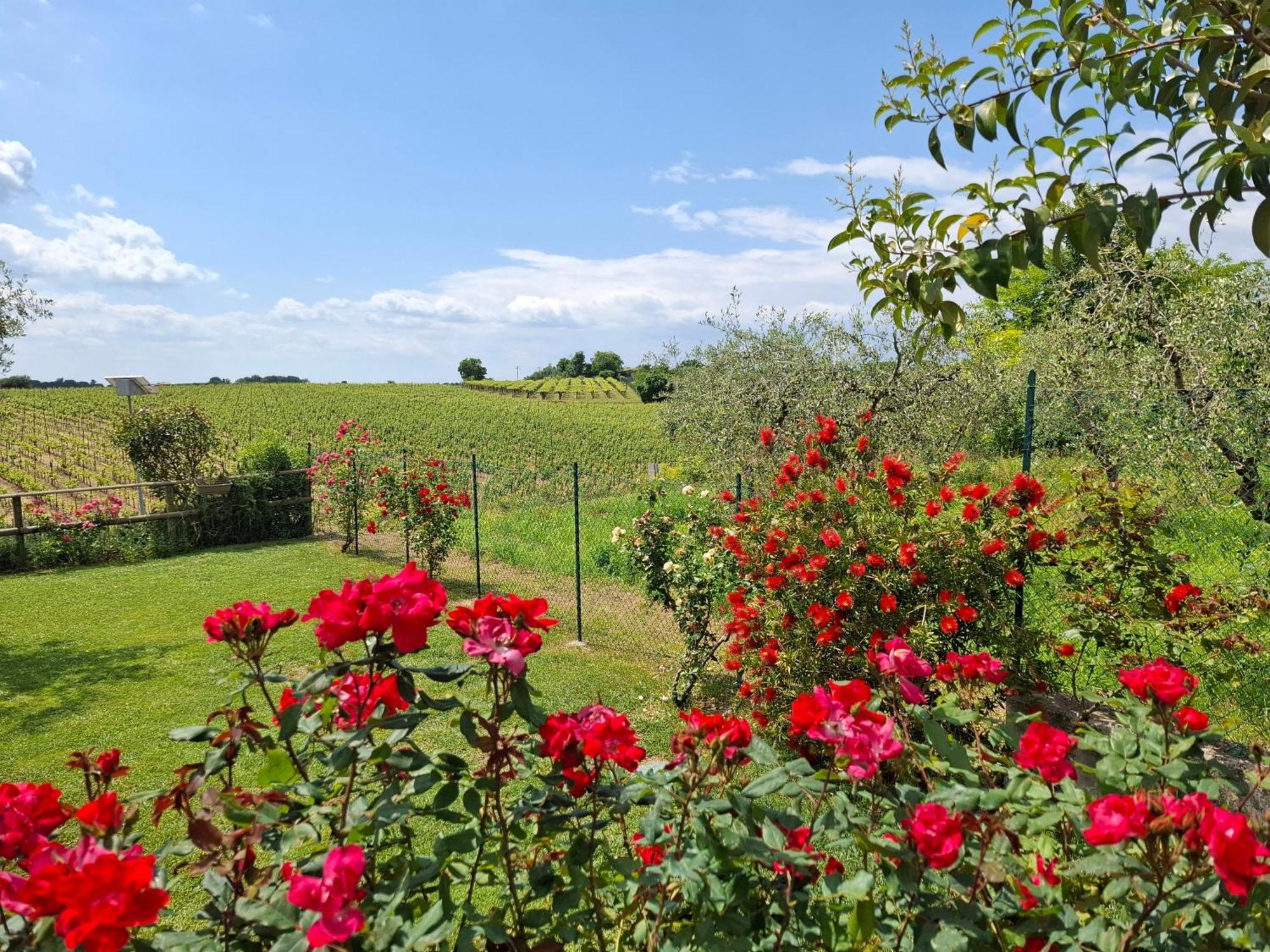 Poggio Guest house