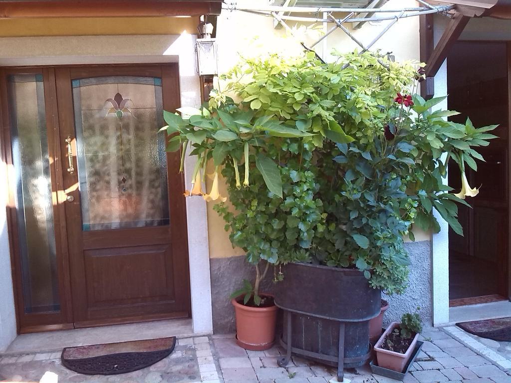 La Carbonara 6 Bed & Breakfast *