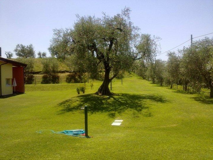 Tre Colline Bardolino